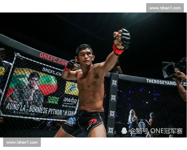 格雷西比赛中技术与策略的深度剖析与胜负关键因素探讨